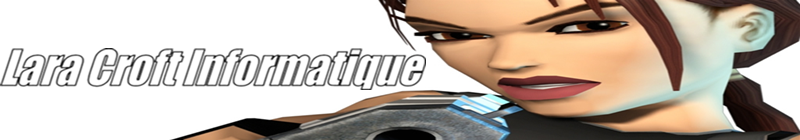 Laracroft Informatique